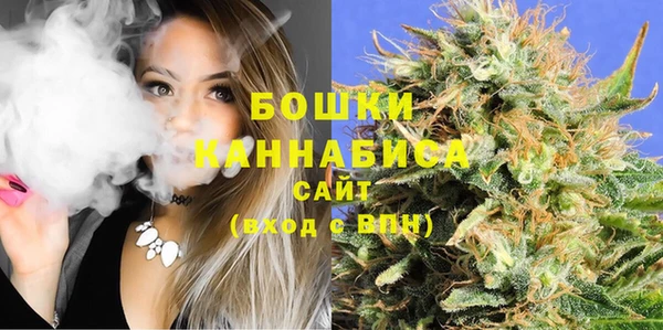 дмт Няндома