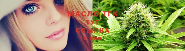 дмт Няндома