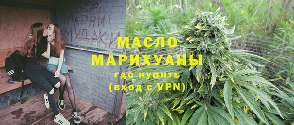дмт Няндома