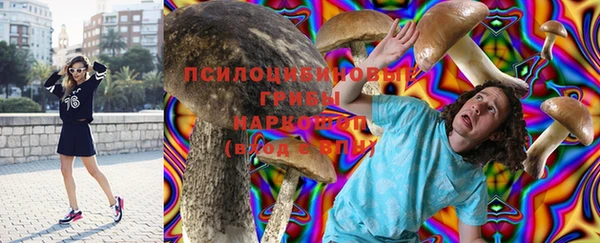 дмт Няндома